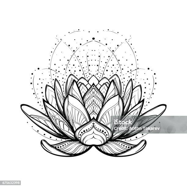 Lotusblume Komplizierte Stilisierte Lineare Zeichnung Isoliert Auf Weißem Hintergrund Stock Vektor Art und mehr Bilder von Lotus - Seerose