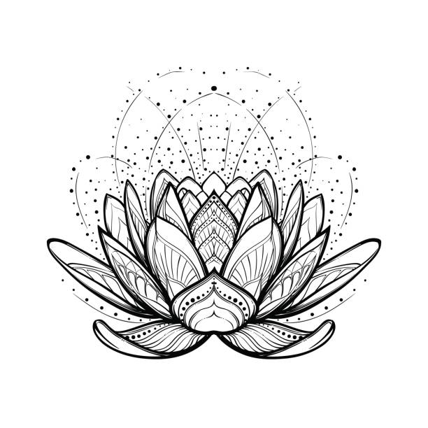 ilustraciones, imágenes clip art, dibujos animados e iconos de stock de flor de loto. intrincado dibujo lineal estilizado aislado sobre fondo blanco. - lotus