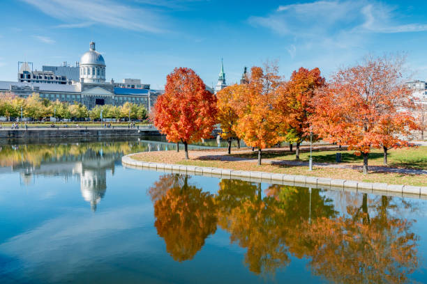 Montreal Bonsecours Market in Autumn Quebec Canada Montreal Bonsecours Market and beautifully colored autumn trees reflecting in the pond water. Old Port of Montreal, Montreal, Quebec, Canada - Bassin Bonsecours, Prom Du Vieux-Port, Old Montreal, Quebec, Canada montréal photos stock pictures, royalty-free photos & images