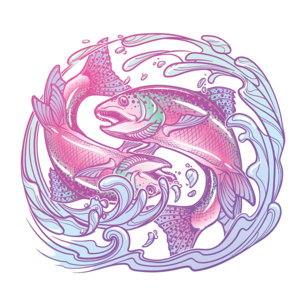 Zodiac sign - Pisces. Two fishes jumping from the water. sketch isolated on white background Zodiac sign - Pisces. Two fishes jumping from the water. Circle composition, decorative frame of roses. Vintage art nouveau style concept art for horoscope, tattoo or colouring book. EPS10 vector pisces fish tattoo designs drawing stock illustrations