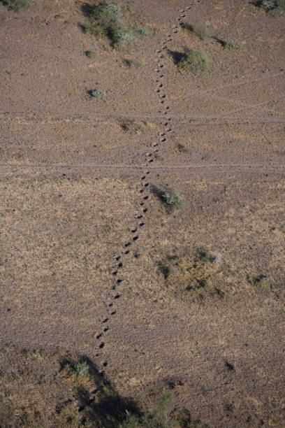 istock Kenya from the air 675632594