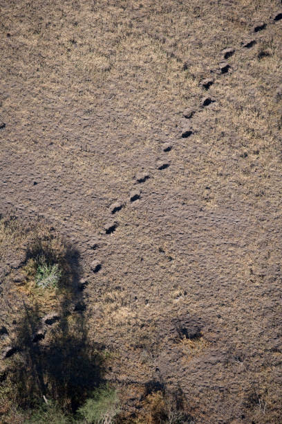 istock Kenya from the air 675635062