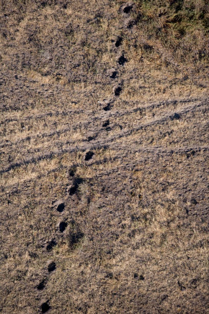 Kenya from the air