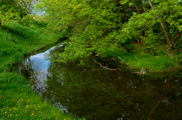 istock beautiful scene in the park 675638290