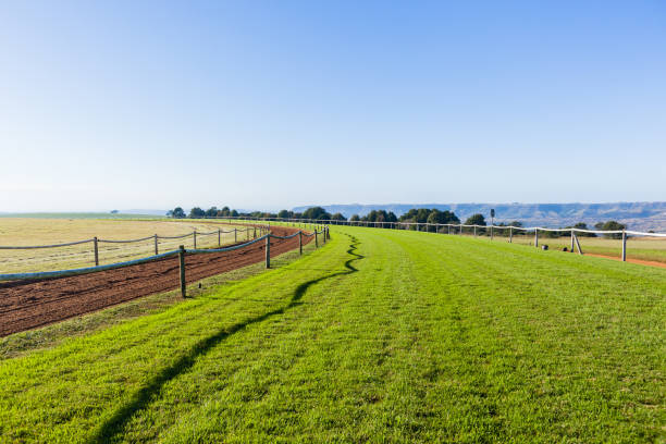 istock Race Horse Training Tracks 675641350