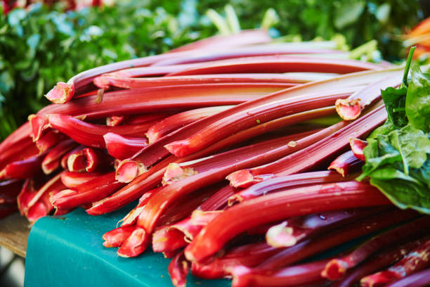 Rhubarb on farmer market in Paris, France Large heap of fresh ripe organic rhubarb on farmer market in Paris, France rhubarb photos stock pictures, royalty-free photos & images