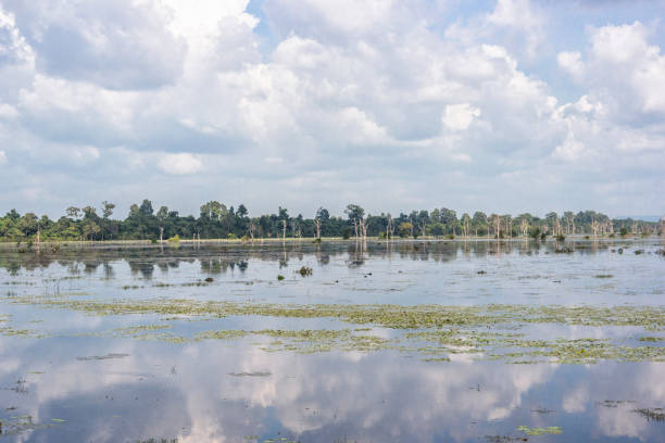 istock Artificial lake with bare trees around Neak Pean at Angkor in Cambodia 675677340