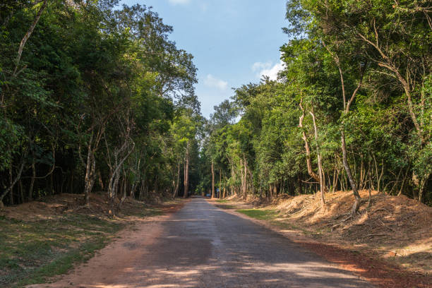 istock Road through the jungle, Cambodia 675677616