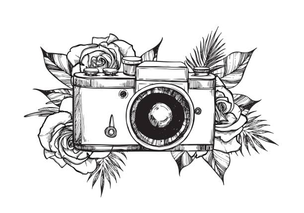 нарисованная вручную векторная иллюстрация - ретро-камера с цветочными букетами. розы и тропические листья. идеально подходит для приглаше - pencil drawing flash stock illustrations