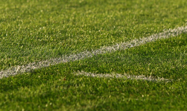 istock Green soccer (football) field 675691000