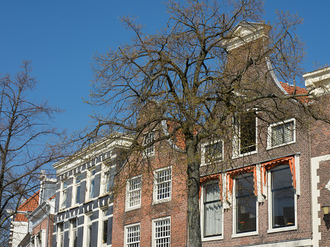 the dutch city of haarlem