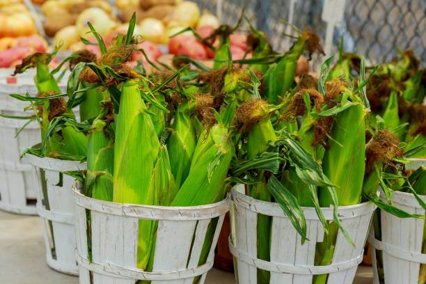 venda de market milho farmers - horizontal guatemala leaf vegetable market - fotografias e filmes do acervo