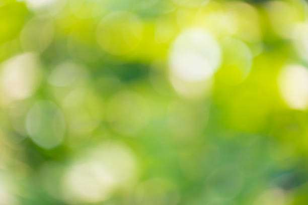 istock Natural green spring blur bokeh background. 675694392