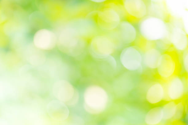 istock Natural green spring blur bokeh background. 675694394
