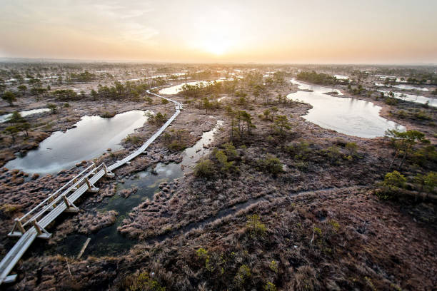istock Marsh landscape in the early morning at sunset. 675704340