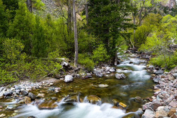 istock Creek Landscape Scenic 675705444