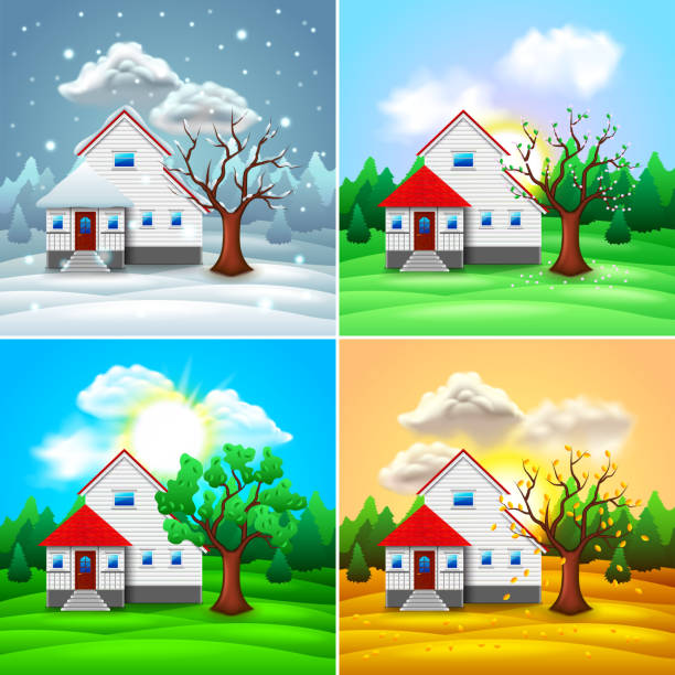 ilustraciones, imágenes clip art, dibujos animados e iconos de stock de vector de estaciones cuatro casa y naturaleza - four seasons cloud autumn plant