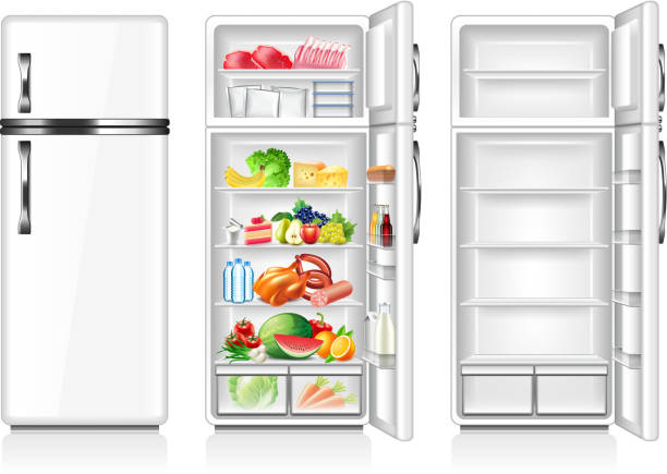 illustrations, cliparts, dessins animés et icônes de frigo plein et vide, isolé sur blanc vector - frigo ouvert