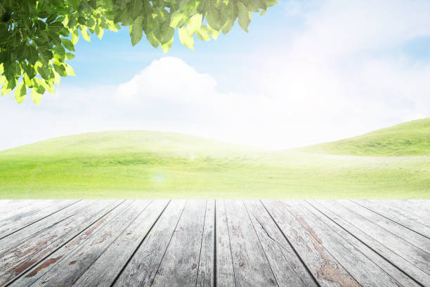 istock Empty wooden table with party in garden background blurred. 675711550
