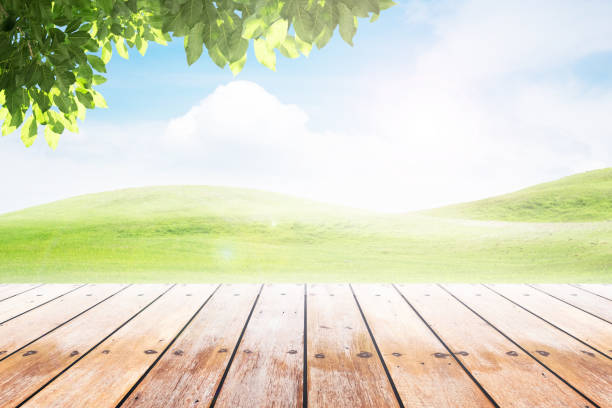 istock Empty wooden table with party in garden background blurred. 675711622