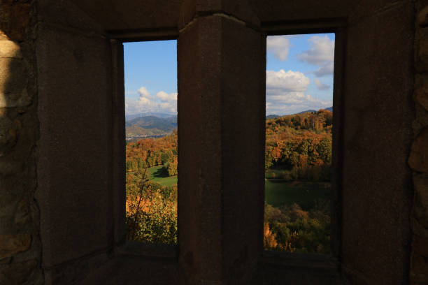 Beautiful yellow, orange and red autumn leaves, Suedbaden, Germany