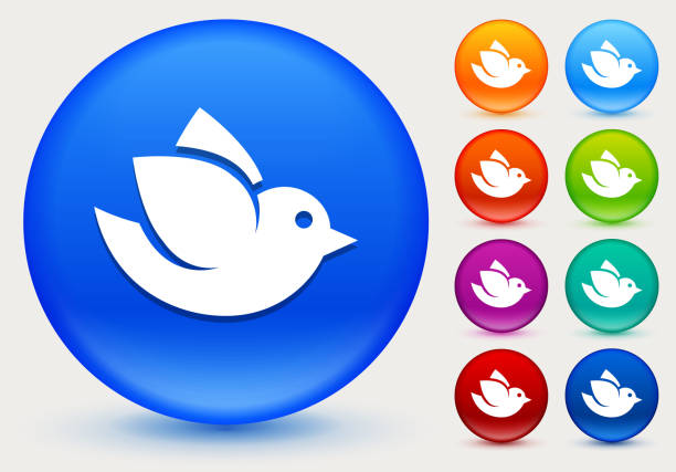 птица значок на блестящие кнопки цвет круга - twitter bird elegance blue stock illustrations