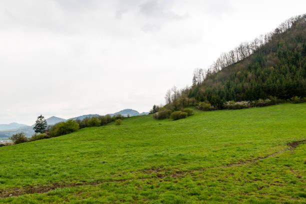 istock colorful countryside view in carpathians 675716750
