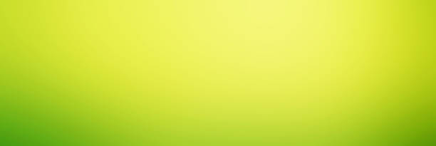 istock Abstract Spring time green color Smooth gradient background. Green and yellow 675719720