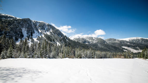 istock Western carpathian, Tatry mountains in winter 675723218