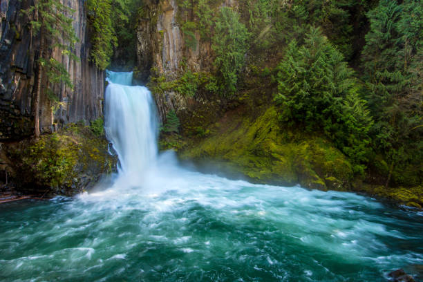 Toketee Falls in Umpqua National Forest Park in beautiful Oregon, USA. stock photo