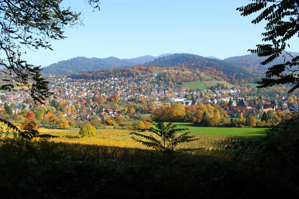 istock Yellow, orange and red autumn leaves, Germany 675724026