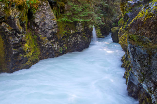 Toketee waterfalls creek, Umpqua National Forest Park. stock photo