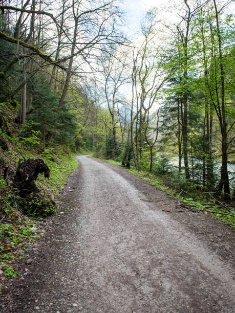 istock simple country road in summer 675727316