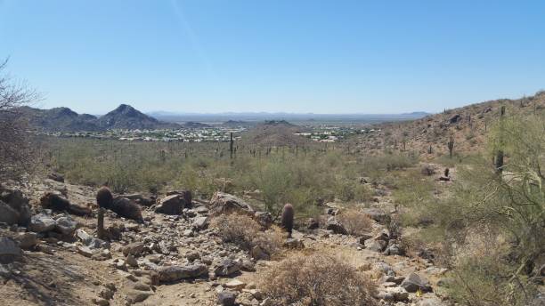 istock Arizona Desert Landscape 675729858