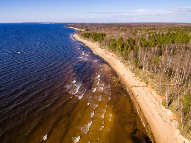 istock drone image. aerial view of baltic beach area 675733532