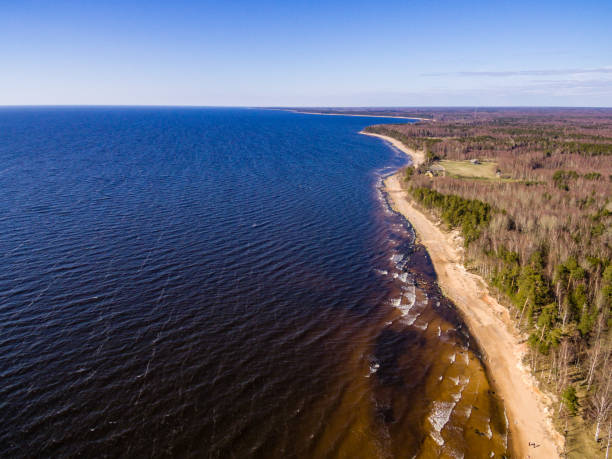 istock drone image. aerial view of baltic beach area 675733554