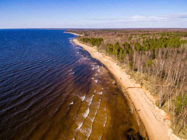 istock drone image. aerial view of baltic beach area 675733574