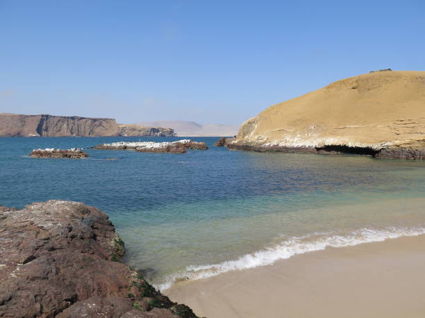 istock Paracas National Park 675737576