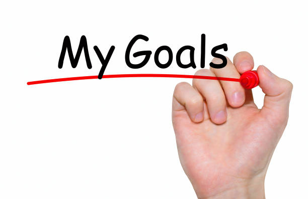 istock Hand writing inscription My Goals with marker, concept 675749566