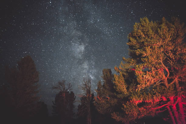 istock wild nature sky. milky way. 675750332