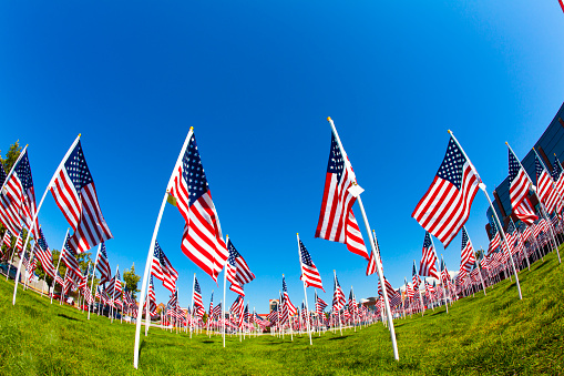 Large group of American flags in a field on a bright sunny day in Utah. Shot taken with Canon 5D Mark ll.