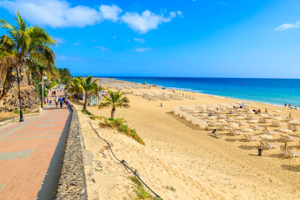 coastal promenade along sandy beach in morro jable town, fuerteventura, canary islands, spain - clear sky spain tenerife canary islands imagens e fotografias de stock