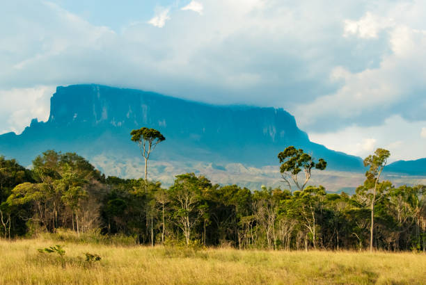 istock Kukenan Tepui, Gran Sabana, Venezuela 675757416
