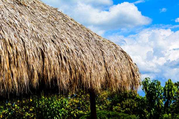 istock Tropical leaf roof on a sunny day 675761146