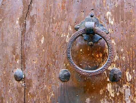 Vintage door knocker in vintage door. 