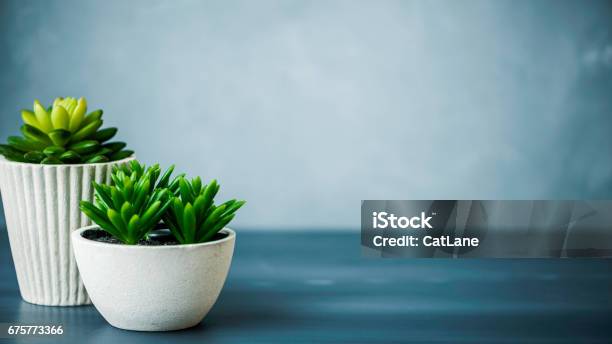 Desk With Succulents Stock Photo - Download Image Now - Desk, Office, Zen-like