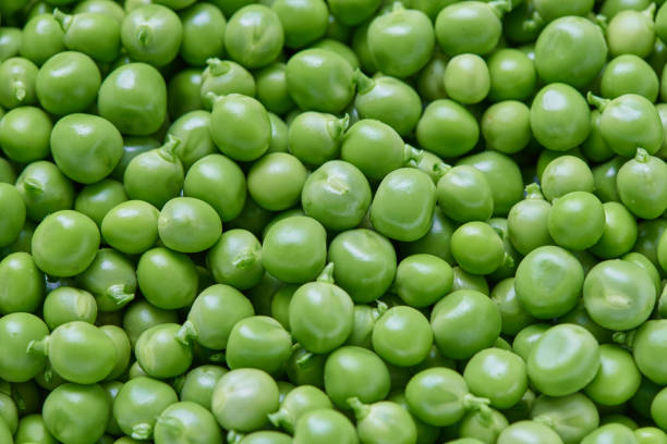 Fresh green peas natural food background stock photo