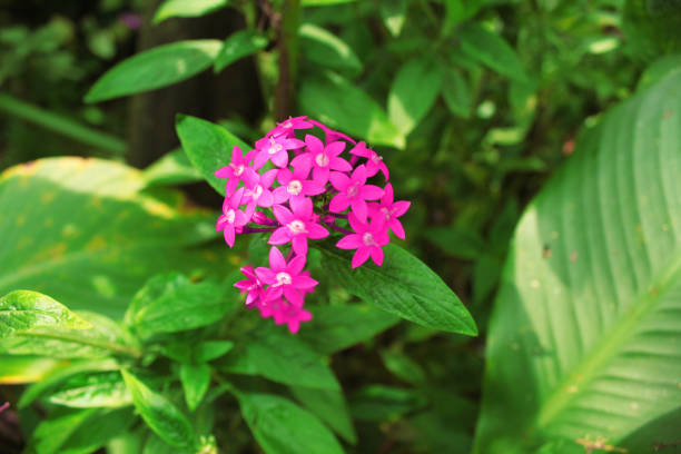 Places of nature