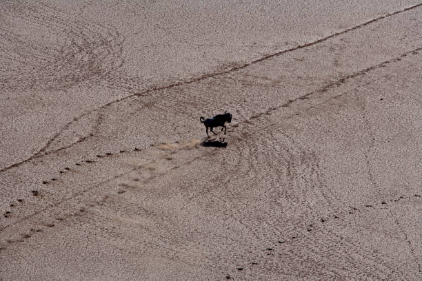 istock Kenya from the air 675786794