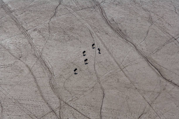 istock Kenya from the air 675786816
